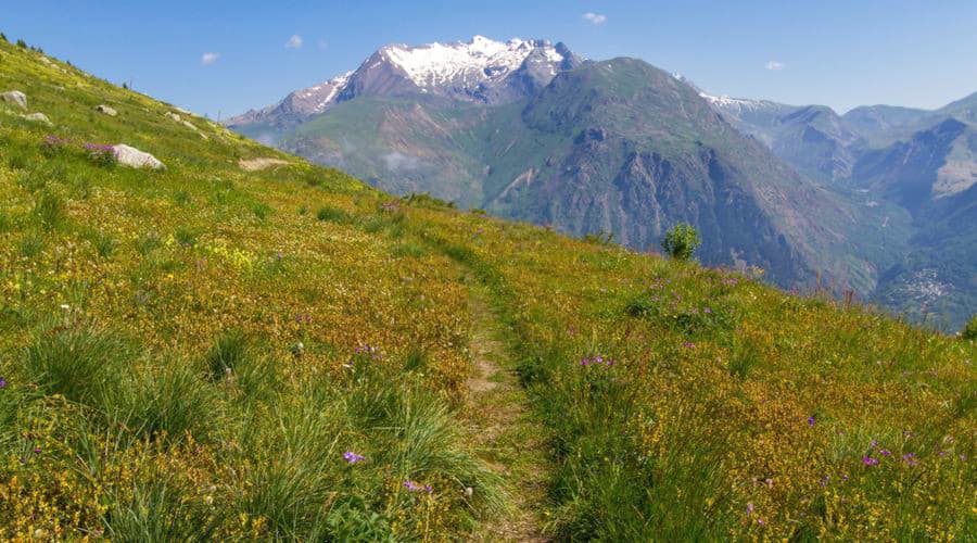 Vi erbjuder ett brett urval av biluthyrningsalternativ i Les Deux-Alpes.